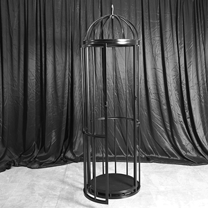 BDSM meubles grande cage à oiseaux retenue esclave salle d'entraînement accessoires SM emprisonnement fer Cage suspendu Cage outils sexuels - Product Image 2