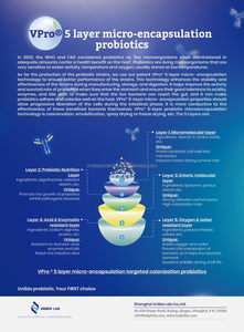 Nhà sản xuất giá akkermansia muciniphila AH39 Probiotic bột cho trọng lượng khỏe mạnh - Product Image 3