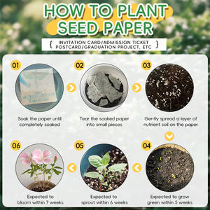 بطاقات بذور تحية شكرا لك مخصصة ، ورق قابل للتحلل مع بذور مرئية بالكامل ، ورق بذور - Product Image 3