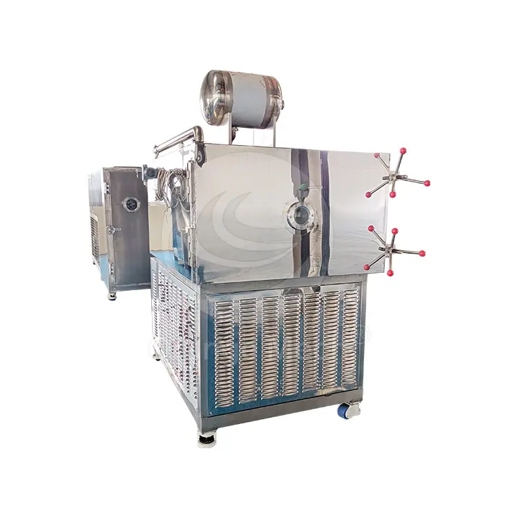 ORME Food Grade liofilizzatore automatico a secco agglomerato macchina da caffè istantaneo per carne e pesce