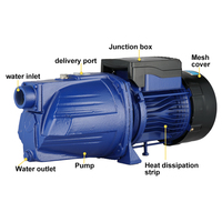 Pompe à jet 220v50Hz haute tête et pompe de surpression de pipeline d'eau de puits domestique industrielle à haut débit