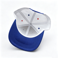 Casquette de baseball personnalisée de haute qualité, bicolore, structurée, avec fermeture snapback et logo brodé en 3D pour les sports de plein air
