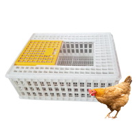 Caisse de transport pour volailles en plastique, cage de transport pour poulets, canards, oies, empilable et ventilée