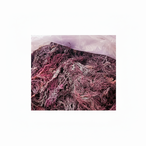 Seamoss salvajes naturales de Vietnam/seamoss secos púrpura-dorado/Sra. Beatrix - Product Image 1