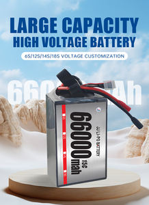 Агрораспылитель 6s22.2v 12s 14s 30000mah 32000mAh 44000mah 25C 40C 50C сельскохозяйственный литий-ионный аккумулятор высокой скорости - Product Image 4