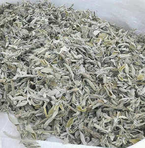 【卸売・売れ筋】有機栽培 高品質 クラッシュ ホワイトセージ リーフ｜ナチュラルヒーリング用 乾燥ハーブ - Product Image 4