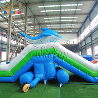 WINSUN Nouveau Design Toboggan Aquatique Gonflable Commercial Double Voie en PVC pour Adultes et Enfants, Thème Dauphin, pour Parc Aquatique et Centre Commercial