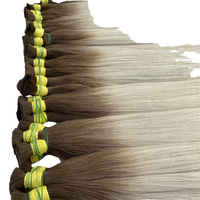 Extensions de cheveux vierges chinois JINHAN JCJH02 en vrac, double trame, kératine, pointes I, teintes, micro-liens, pointes plates