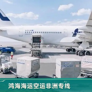 Logística de Hon Hai en África, Transporte Marítimo y Aéreo Puerta a Puerta con Despacho de Aduanas e Impuestos Incluidos, Carga a África - Product Image 5