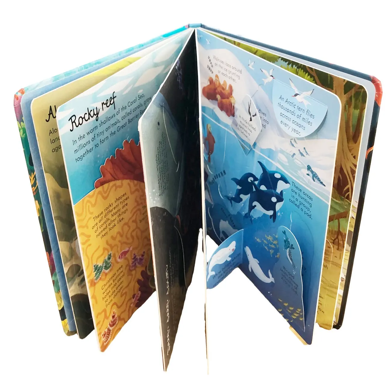 Custom Manufacturer Cardboard Book for Kids Children's Stories book with Paper   Paperboard Printing