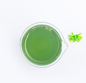 Concentré d'<span class=keywords><strong>Ascophyllum</strong></span> <span class=keywords><strong>Nodosum</strong></span>, extrait liquide d'algues riches en alginate pour toutes les plantes - Product Image 2