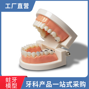 Modelo Dental Infantil para el Cuidado Bucal, Modelo de Jardín de Infancia para Cepillarse los Dientes, Equipo de Terapia Oral, Accesorios - Product Image 2