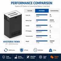 Station d'alimentation de secours domestique 1kWh UPS, commutation rapide, protection contre les pannes de courant, restauration automatique