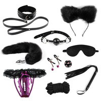 Kit BDSM en gros avec queue de renard et dés sexuels, ensemble de 10 pièces pour jeux de bondage en couple