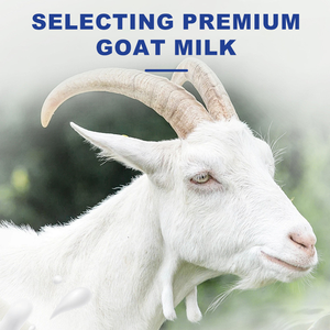 락토페린과 프로바이오틱스가 포함된 개와 고양이를 위한 N4P 염소 분유, 120g-모든 연령층의 애완 동물을 위한 영양 보조제 - Product Image 4