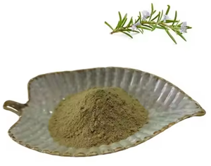 Bubuk ekstrak daun Rosemary kualitas makanan herbal alami grosir ekstrak Rosemary 10% 5%-90% bubuk asam <span class=keywords><strong>Carnosic</strong></span> dalam stok besar - Product Image 1