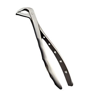 Forceps dentaires professionnels pour l'extraction des dents chez l'adulte, en acier inoxydable, instruments chirurgicaux ergonomiques, fournisseur en gros - Product Image 1