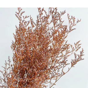 Вечные цветы, экологически чистые сушеные цветы Каспии для украшения вечеринки и оформления дома, похоронные принадлежности, букет - Product Image 4