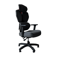 Chaise de gaming ergonomique haut de gamme avec dossier en maille, soutien lombaire réglable, accoudoirs réglables, idéale pour le bureau à domicile et les longues sessions assises
