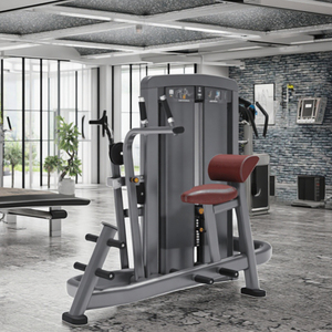 Máquinas de Gimnasio, Equipo de Fitness Comercial, Entrenamiento de Fuerza, Ejercicios para Espalda y Abdomen, LK-022, Gimnasio Comercial - Product Image 3