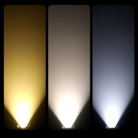 Équipement d'étape professionnel COB200W LED blanc chaud/blanc froid 2 en 1 lumière d'étape du bourdonnement LED de pair