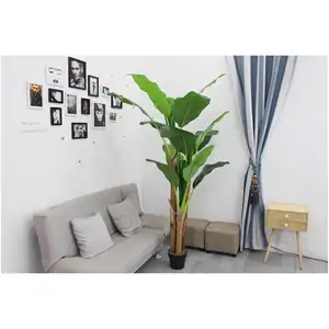 Artificial Plants Pot Succulent Plastic With Vase Potted Popular Good Quality Large Simulated Fiberglass Palm Tree King