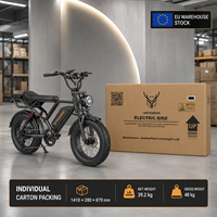 Vélo de montagne BK20, vélo électrique à pneus larges, 250W, 48V, batterie au lithium 20Ah, 20 pouces, vélo électrique pour adultes, tout-terrain