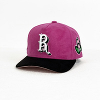 Gorra de béisbol de invierno de moda para exteriores, cálida, de felpa, al por mayor, unisex, de 6 paneles, de gamuza