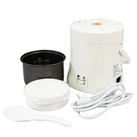 Cuisinière à vapeur portable de voyage, petite, cuisson rapide en 15 minutes, pot antiadhésif amovible, maintien au chaud, convient pour 1 à 2 personnes, pour cuisiner des flocons d'avoine
