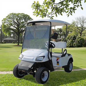 Carrito de Golf Clásico de 2 Plazas Económico con Batería de Litio/Plomo-Ácido Personalizable de 48V/60V/72V - Product Image 1