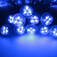 Lumière de pixel de RGBW 12V LED 3 Leds 26mm point d'amusement allume le corps en aluminium IP67 de PVC évalué pour l'application de paysage de parc à thème