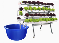 Système de Culture Aquaponique : Bassins pour Fermes Piscicoles, Serre Hydroponique, Aquarium pour Poissons et Légumes