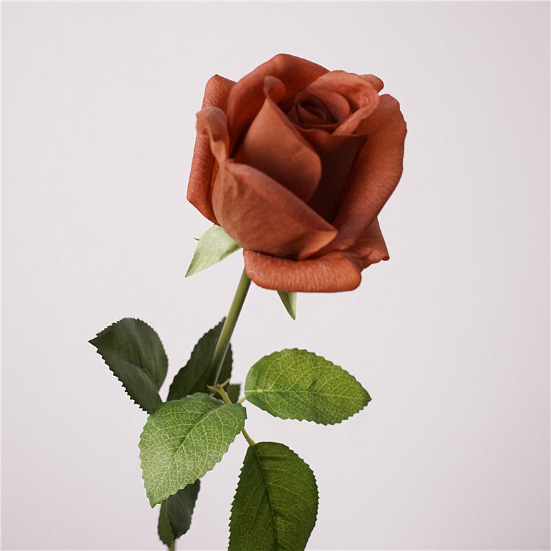 มณฑลเบอร์กันดี