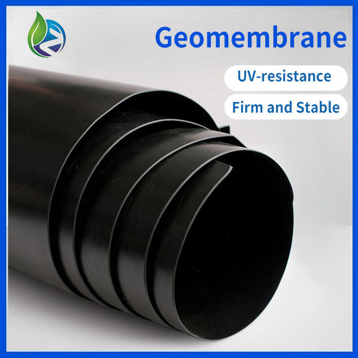 Modern Design HDPE Geomembrane for Aquaculture High-Density Polyethylene & PP Plastic for Landfill & Park Applications