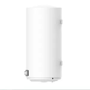 Campione gratuito 3KW 100L scaldabagno elettrico per il lavaggio o il bagno di scaldabagni elettrici istantanei smart elettrico acqua calda wifi