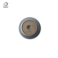 Soupape PLV Diesel 1110010027 Remplacement 4937283 pour Moteur Cummins ISLe Cursor 8 Sécurité