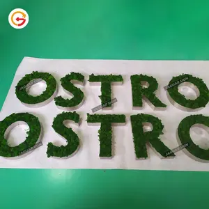Giaguarsign produttore Custom Moss Sign Letters Company 3D Artificial Grass Moss Logo Wall Signage