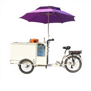 <span class=keywords><strong>Carretto</strong></span> Elettrico a Tre Ruote <span class=keywords><strong>per</strong></span> <span class=keywords><strong>Gelati</strong></span> con Vetrina Refrigerata, Vendita Diretta dalla Fabbrica Cinese - Product Image 1