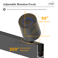 Film Plafon Stretch PVC Profil Aluminium Rel Tersembunyi Lampu Audio Plafon LED Track Lighting Speaker Musik 48V