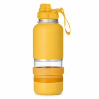 Accessoires de voyage pour animaux de compagnie, bouteille d'eau portable pour chien de 32 oz, distributeur d'eau en acier inoxydable anti-fuite pour la randonnée en plein air, le camping, avec 2 bols