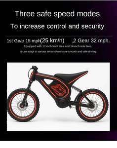 Moto Elettrica da Corsa 60V Edizione Giovani con Velocità Massima di 80km/h, Direttamente dalla Fabbrica - Product Image 3