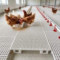 Nouveau plancher professionnel surélevé en plastique PP pour élevage de bétail et poulets, avec pieds monobloc, planche à litière robuste