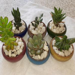 وعاء زهور مزجج صغير للنباتات النضرة ، حاوية صبار تيراكوتا لطيف ، ديكور حديقة المنزل ، حرفة تصميم تصدع الجليد ، فكرة هدية - Product Image 3