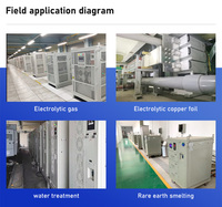 Fuente de Alimentación de CC de Alta Frecuencia Liyuan HMFG-50A8V-GJD, Refrigerada por Aire, 50A 8V, para Rectificador de Electrólisis de Lámina de Cobre
