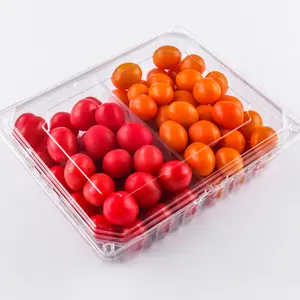 Manufacturer Supply 1500g 2 Compartment Container Clear Clamshell Packaging for Fruit