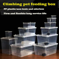 Boîte d'alimentation ventilée pour reptiles, robuste et transparente, pour animaux de compagnie, idéale pour l'escalade et l'alimentation - Vente chaude