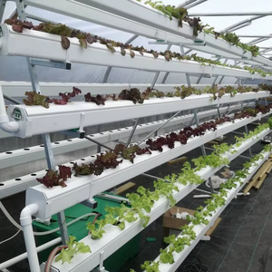 Estante de cultivo hidropónico apilable | Sistema eficiente de ahorro de espacio para cultivo de vegetales en interiores - Product Image 3