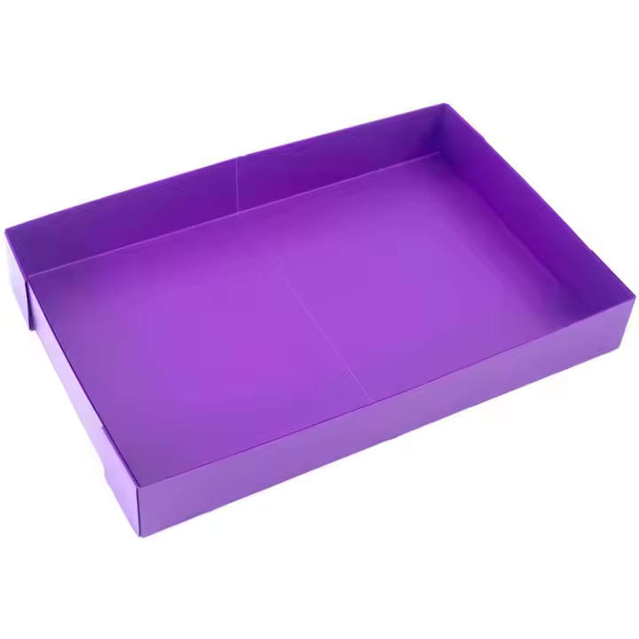 Pourpre