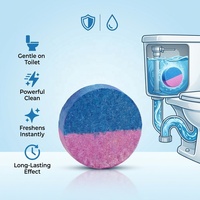 Tablettes nettoyantes et désodorisantes pour toilettes, anti-taches et anti-odeurs, sans danger pour les fosses septiques, blocs bleus à dissolution rapide