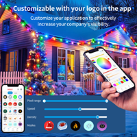 Lampes de Noël LED C9 à commande WiFi Cloud, ampoules RGBW DC12V 24V UCS2904 IP68, fixées au sol, pour extérieur, C9